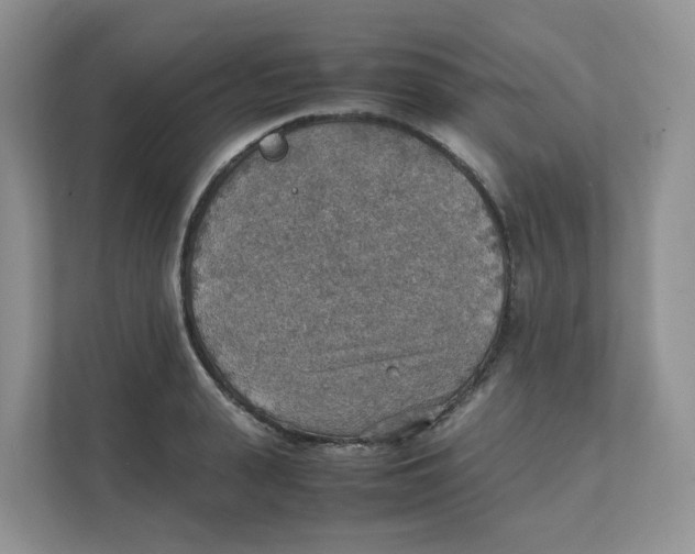 X0000111350943200907310949