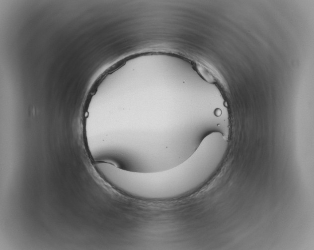 X0000111350944200907310949