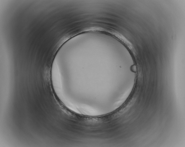 X0000111350945200907310949