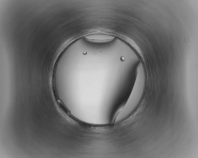 X0000111350946200907310949