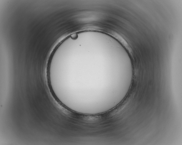 X0000111350947200907310949