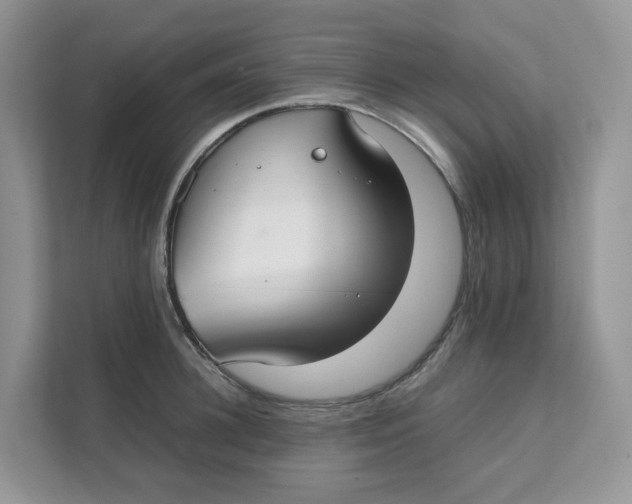 X0000111350948200907310949