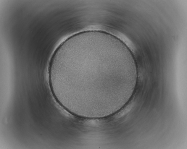 X0000111350950200907310949