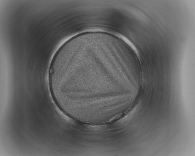 X0000111350951200907310949