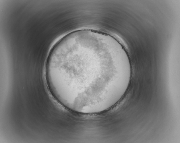 X0000111350952200907310949