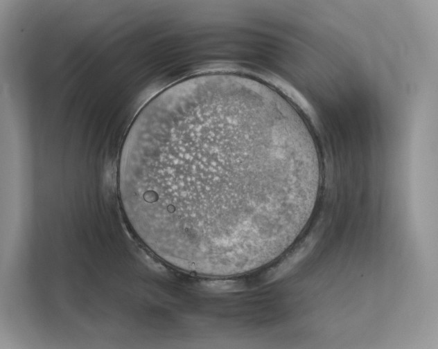 X0000111350953200907310949