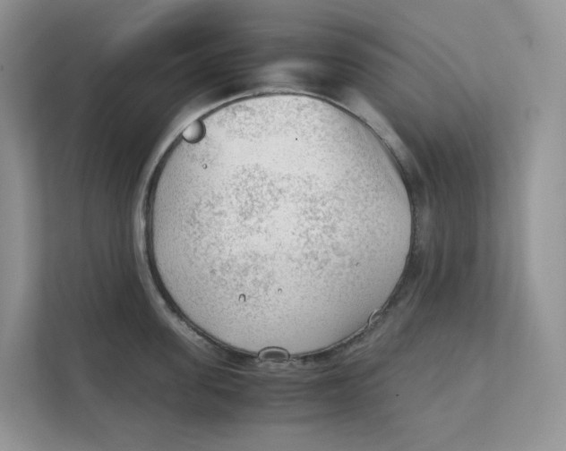 X0000111350955200907310949