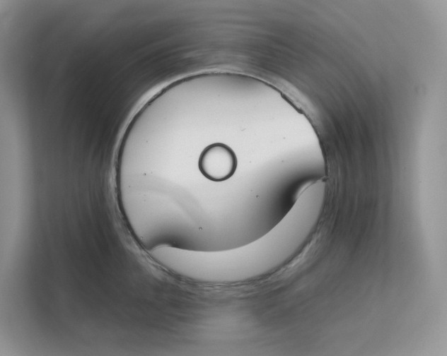 X0000111350956200907310949