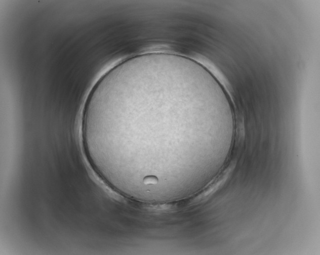 X0000111350957200907310949