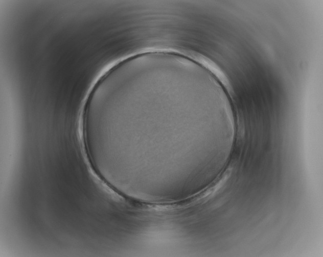 X0000111350958200907310949