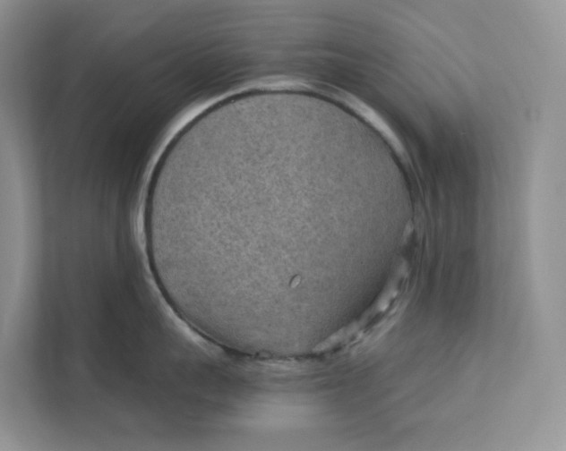 X0000111350959200907310949