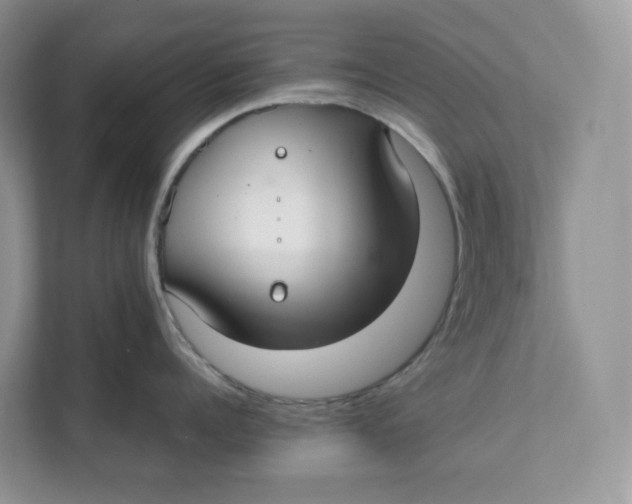 X0000111350960200907310949