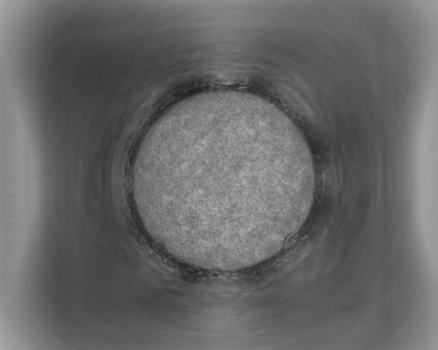 X0000111350961200907310949