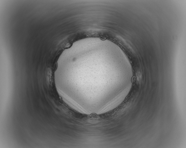 X0000111350964200907310949