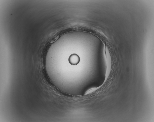 X0000111350965200907310949