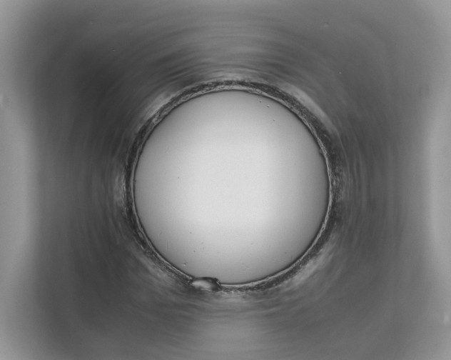 X0000111350969200907310949