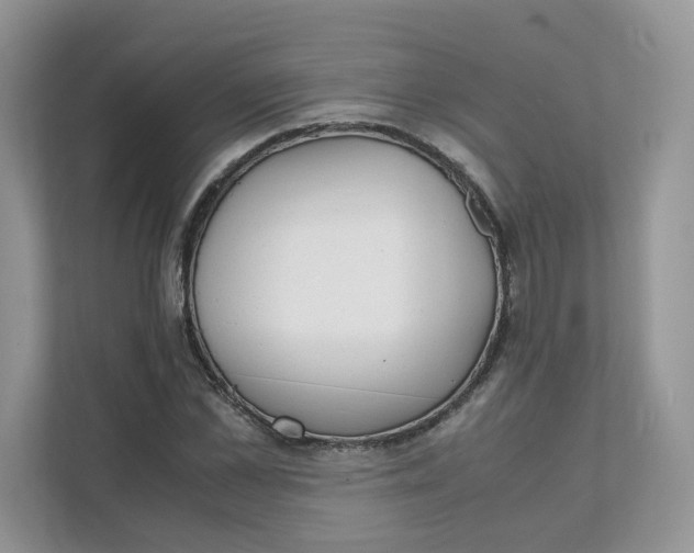 X0000111350973200907310949