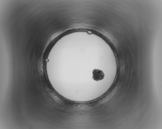 X0000111350974200907310949