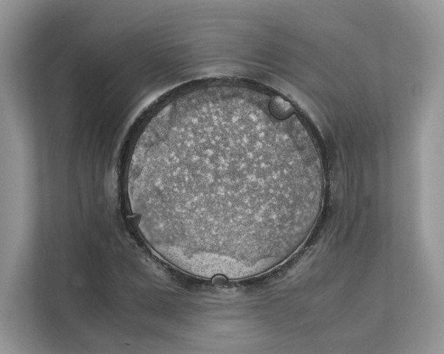 X0000111350975200907310949