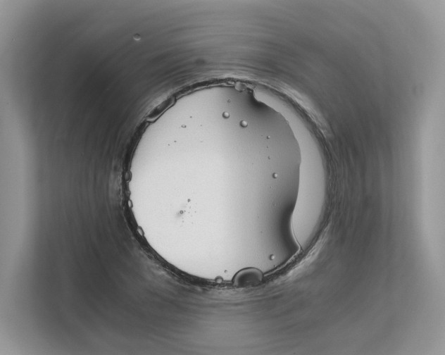 X0000111350977200907310949