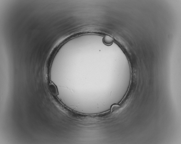 X0000111350981200907310949