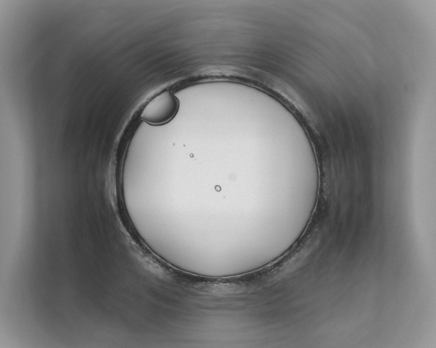 X0000111350984200907310948