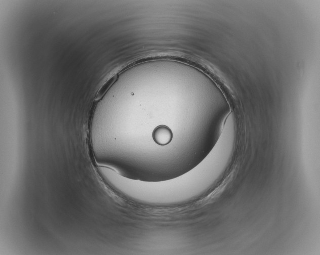 X0000111350985200907310948