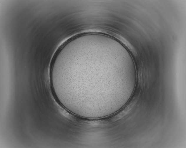 X0000111350988200907310948