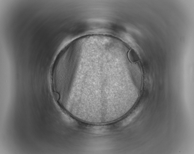 X0000111350989200907310948