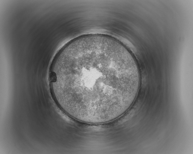 X0000111350990200907310948