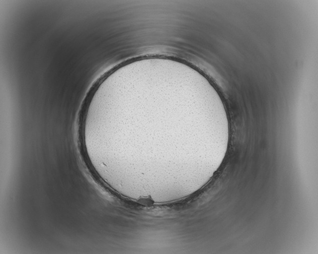 X0000111350991200907310948