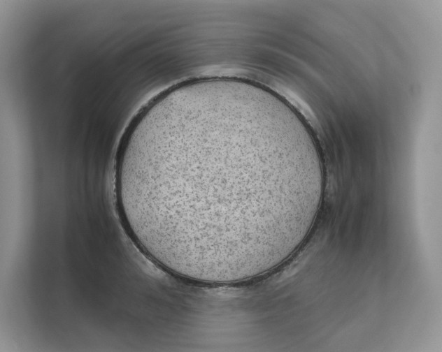 X0000111350992200907310948