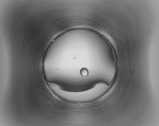 X0000111350993200907310948