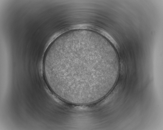 X0000111350994200907310948