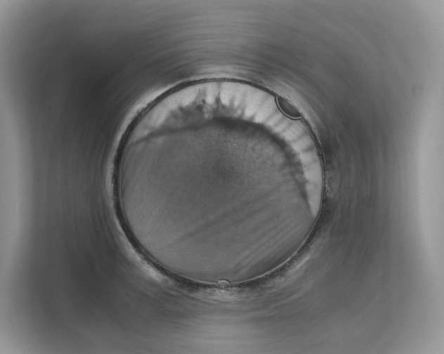 X0000111350995200907310948