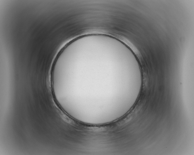 X0000111350996200907310948