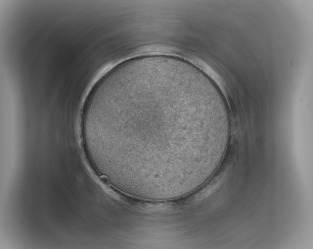 X0000111350997200907310948