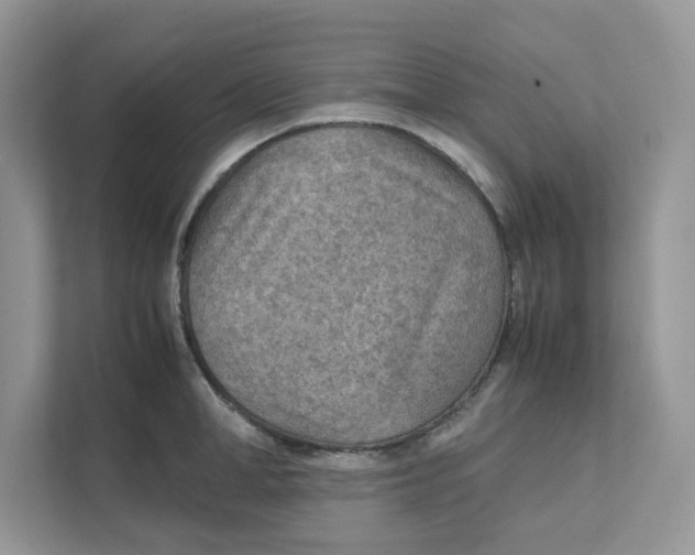 X0000111350998200907310948