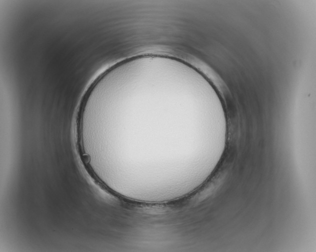 X0000111350999200907310948