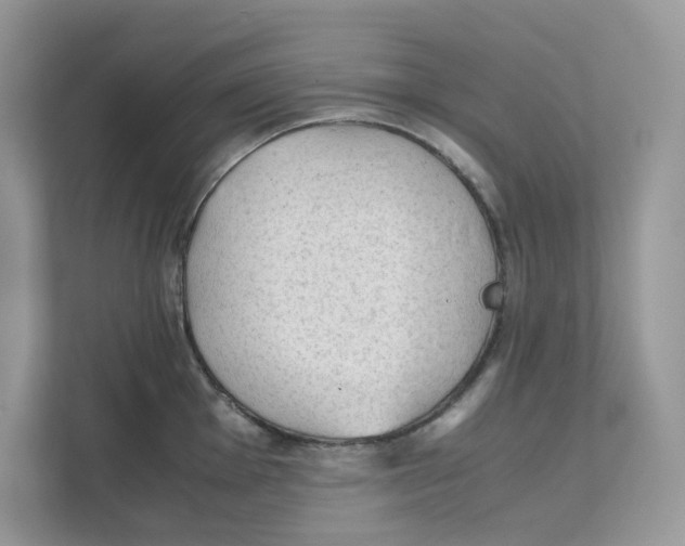 X0000111351001200907310948