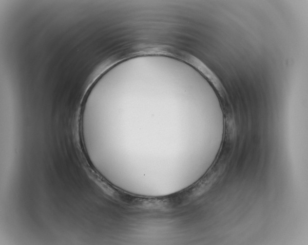 X0000111351002200907310948