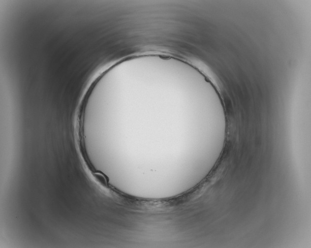 X0000111351003200907310948