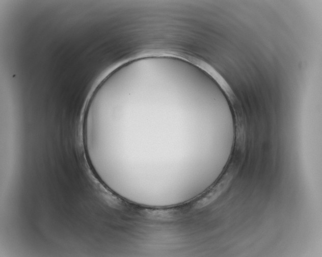 X0000111351004200907310948