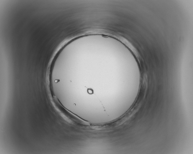 X0000111351005200907310948