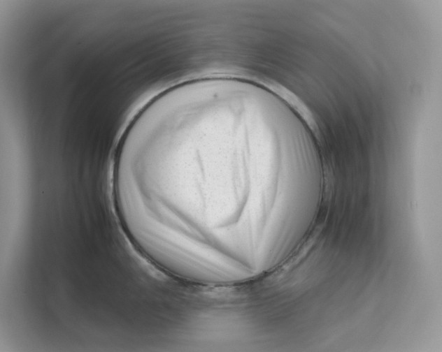 X0000111351006200907310948