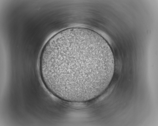 X0000111351007200907310948