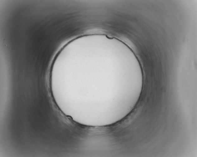 X0000111351008200907310948