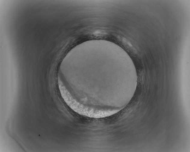 X0000111351009200907310948