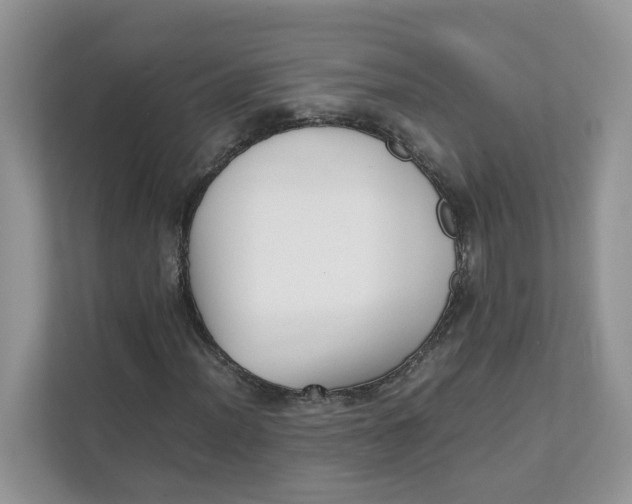 X0000111351012200907310948