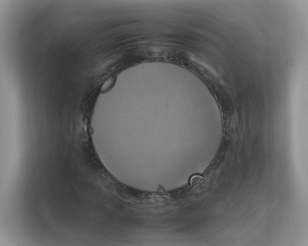 X0000111351013200907310948